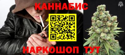mdpv Кандалакша