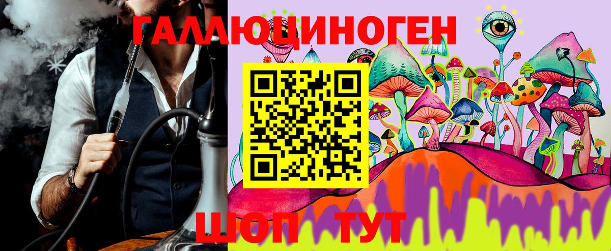 Псилоцибиновые грибы MAGIC MUSHROOMS  Вход с VPN  Лосино-Петровский 